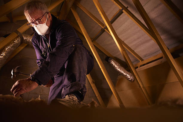 Types of Insulation We Offer in Cottonwood Heights, UT